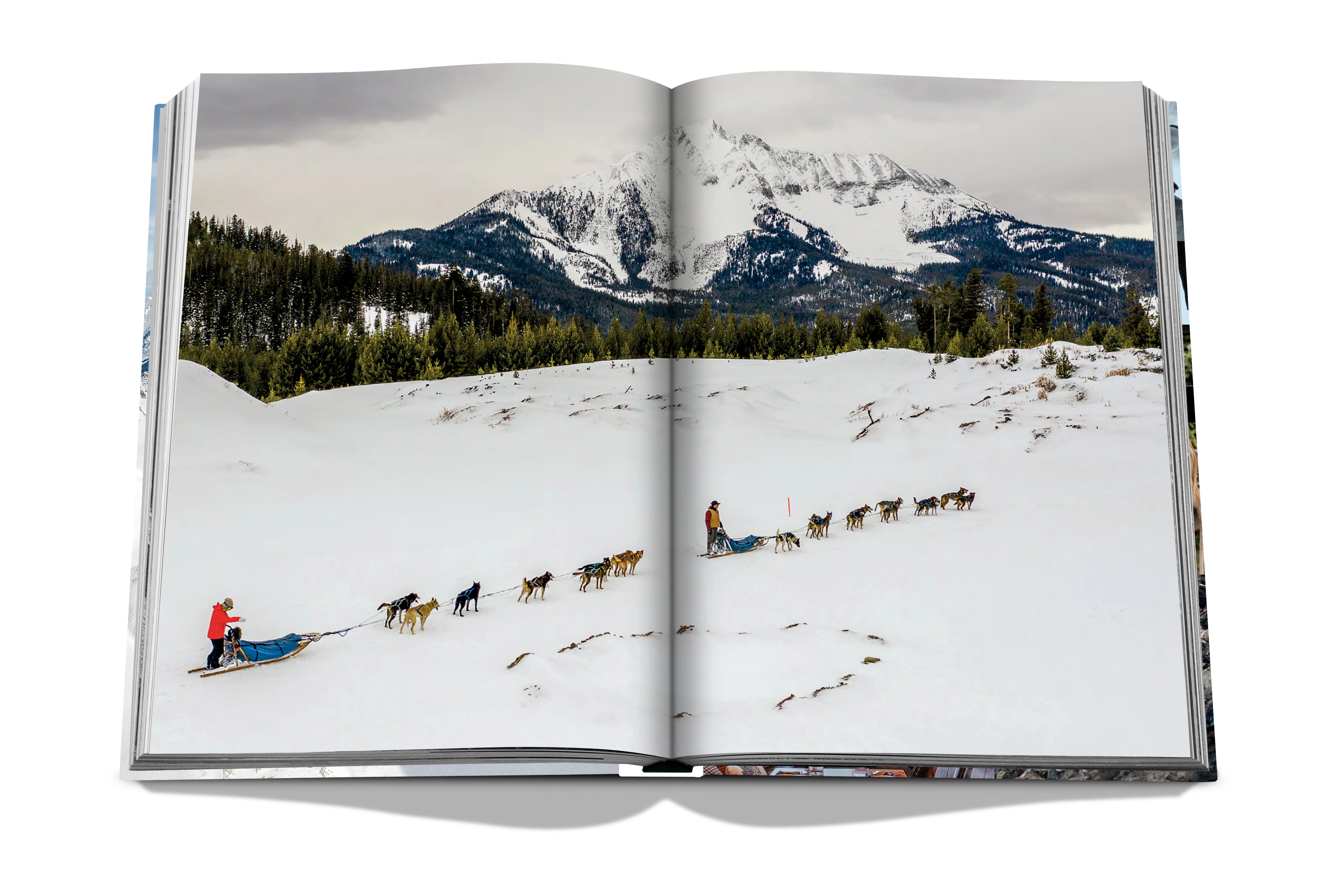 Big Sky - Image 7