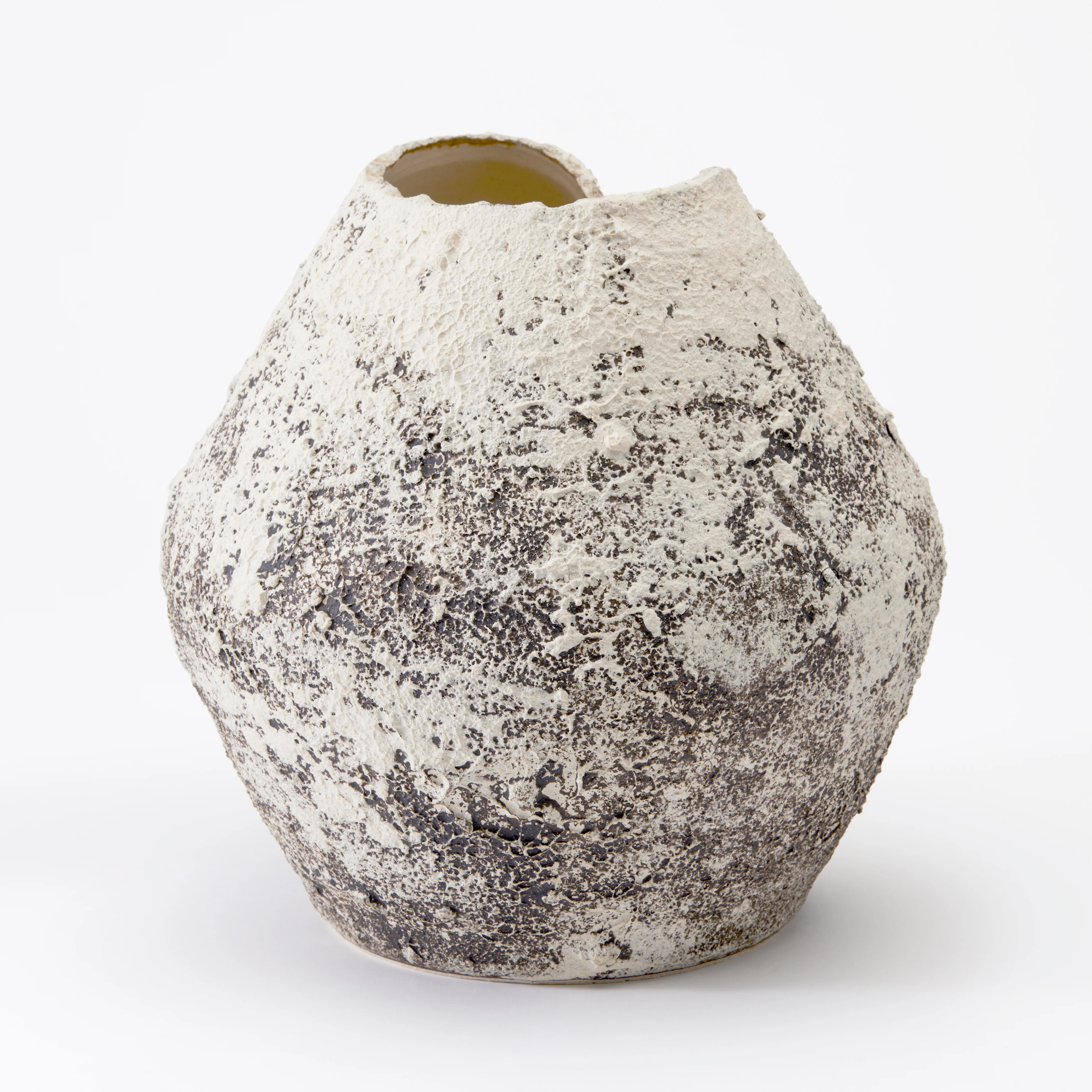 Claudia Vase - Image 3