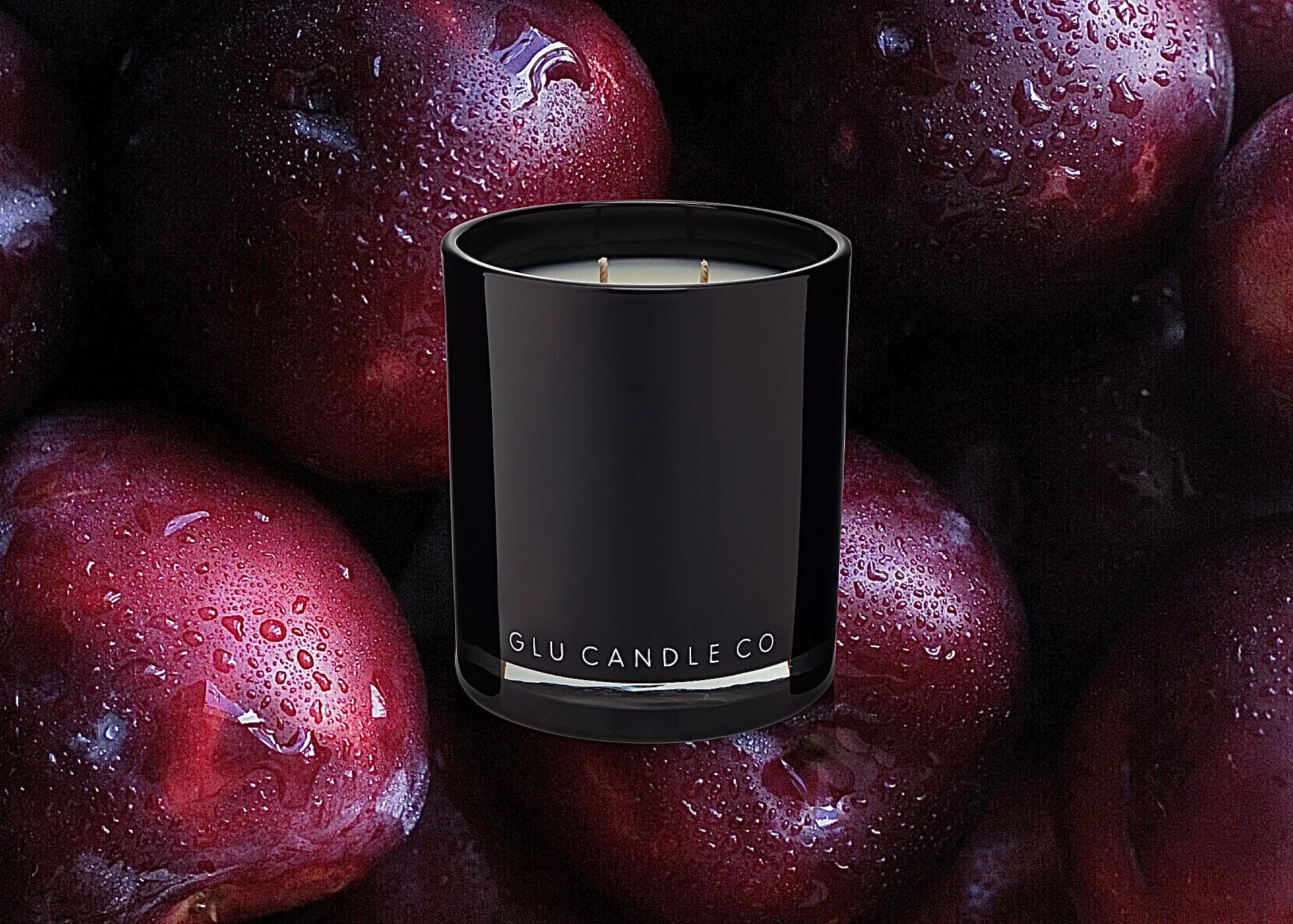Coils | 11oz Scented Candle - Image 2