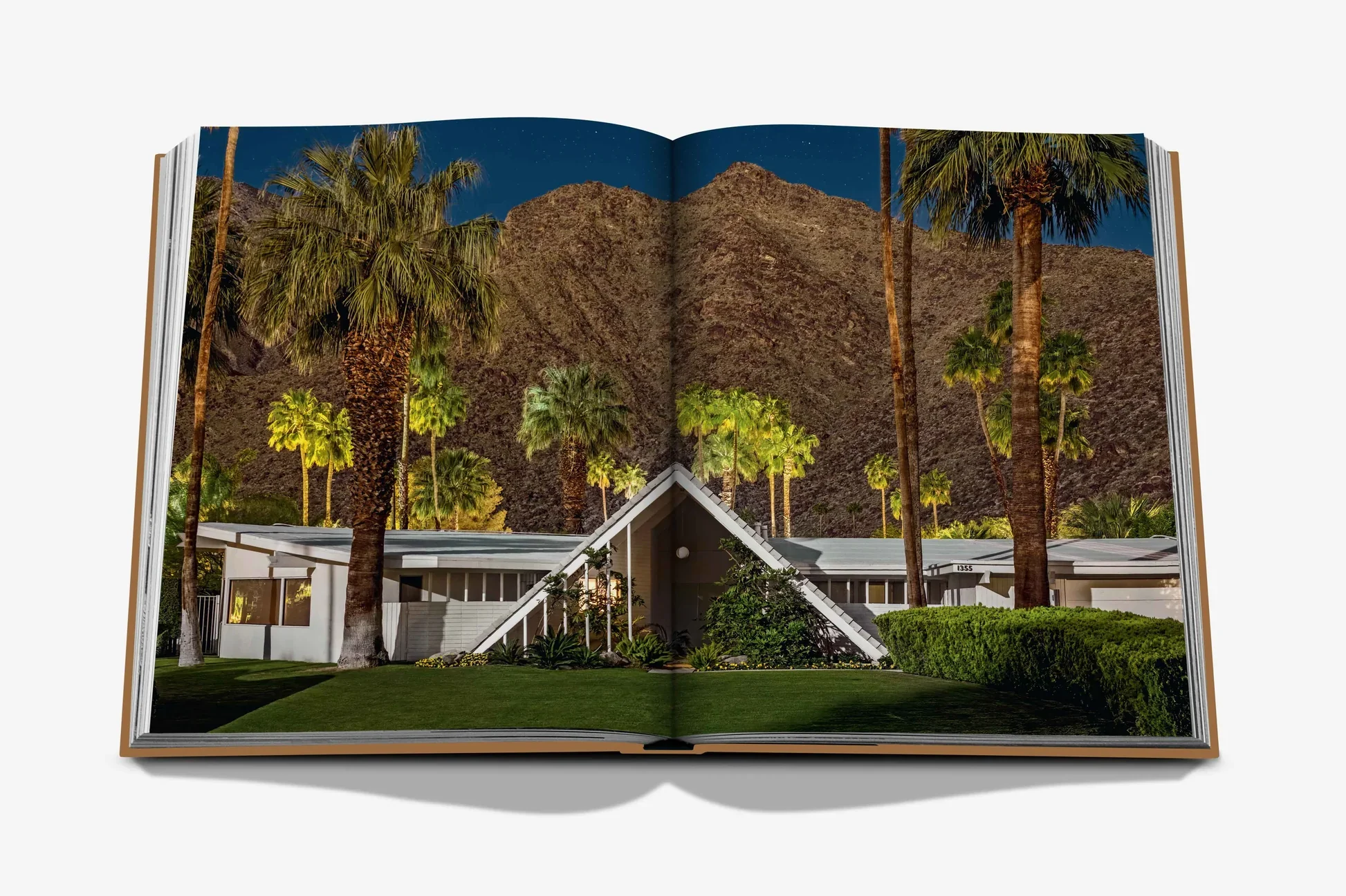 Palm Springs - Image 10
