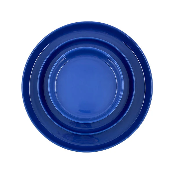 Reims Medium Plate - Set of 4 - Mediterranean - Image 3