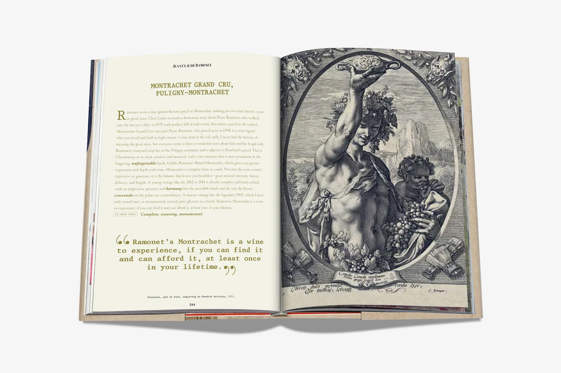 The 100 Burgundy: Exceptional Wines to Build a Dream Cellar - Image 11