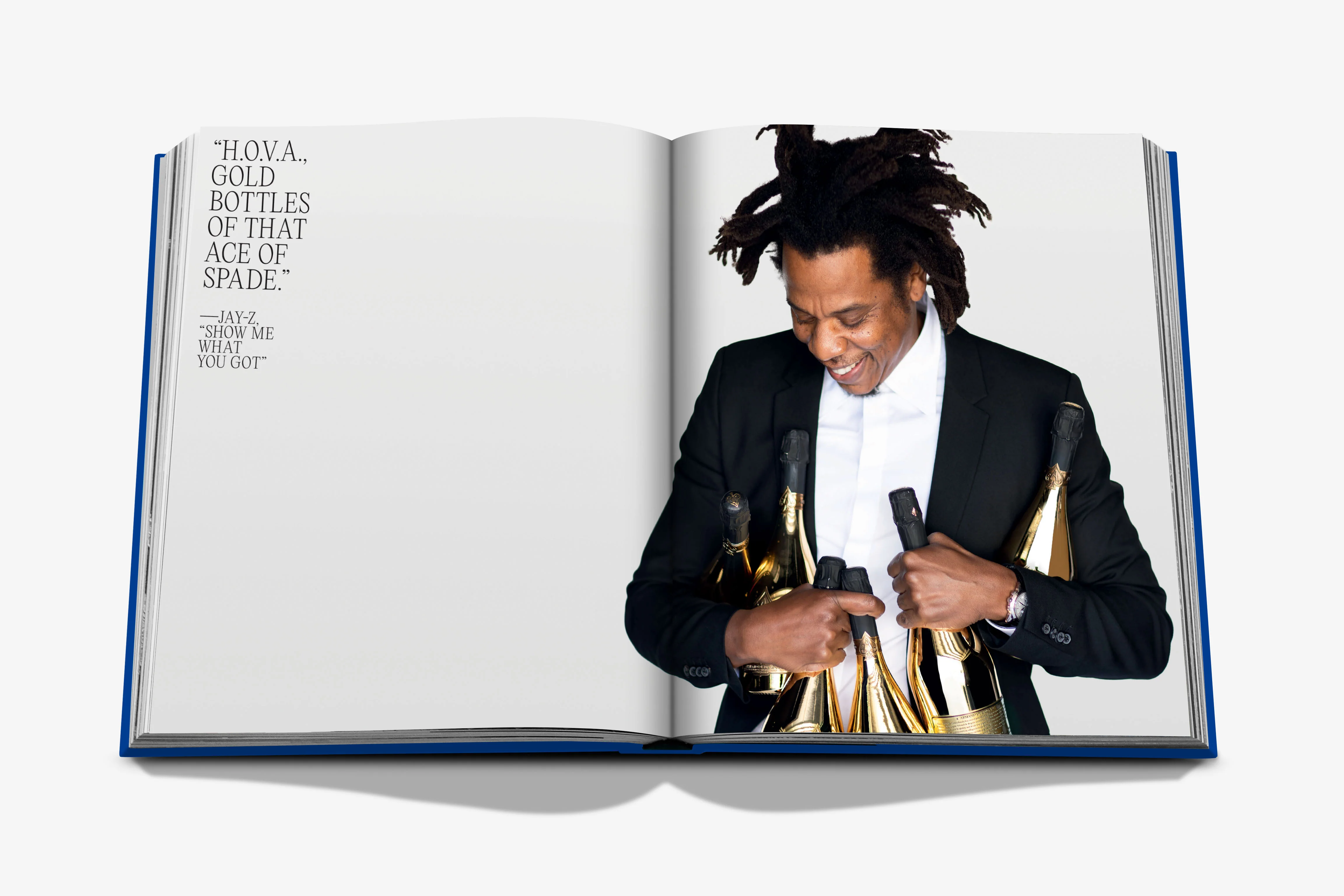 The Book of HOV: A Tribute to Jay-Z - Image 7