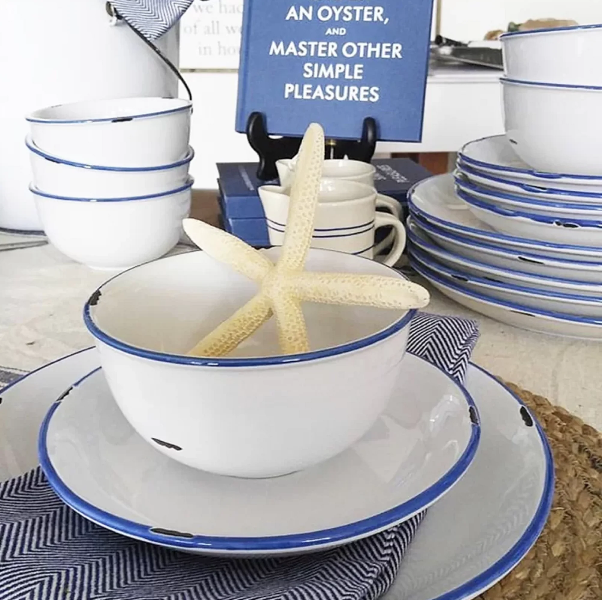 Tinware Dinner Plate in White - Set of 4 - Image 8
