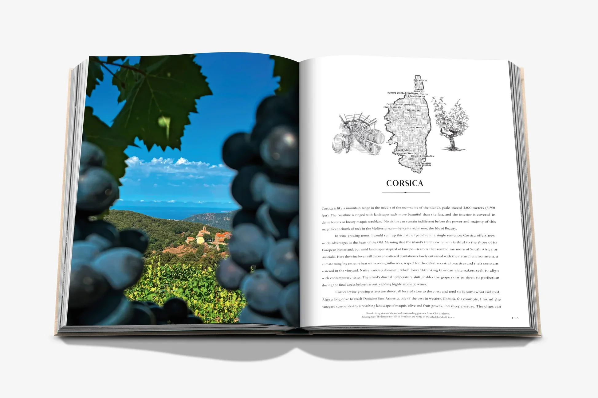Wine & Travel France - Image 7