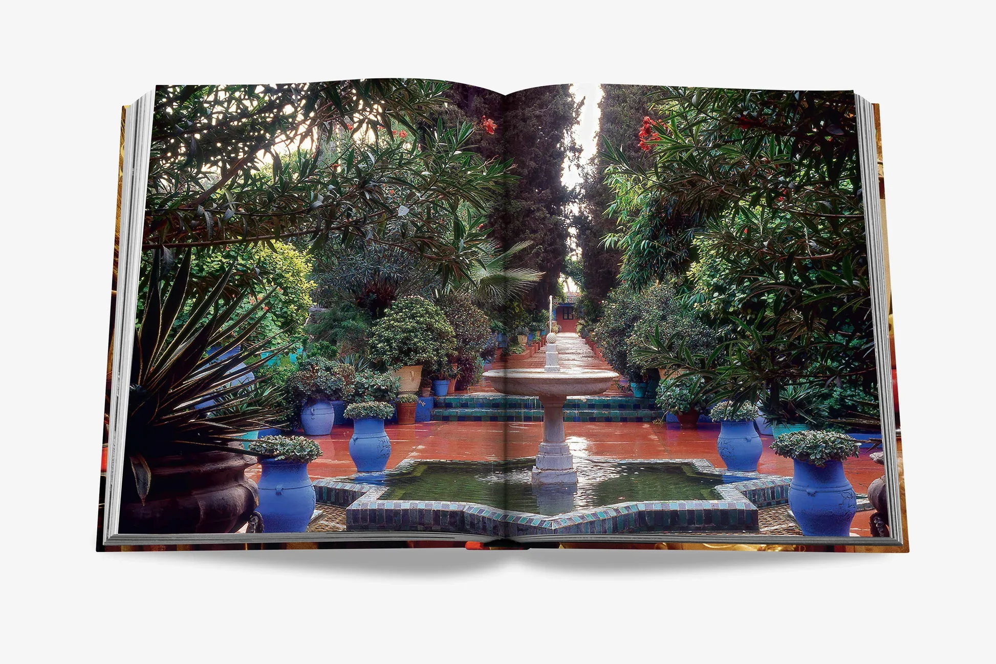 Yves Saint Laurent at Home - Image 7